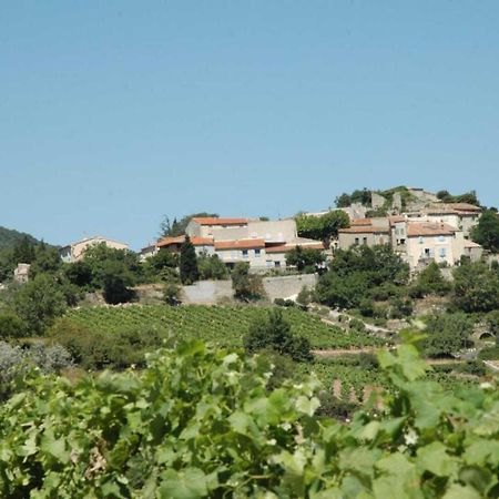 Cecile Villa Montgaillard  ภายนอก รูปภาพ