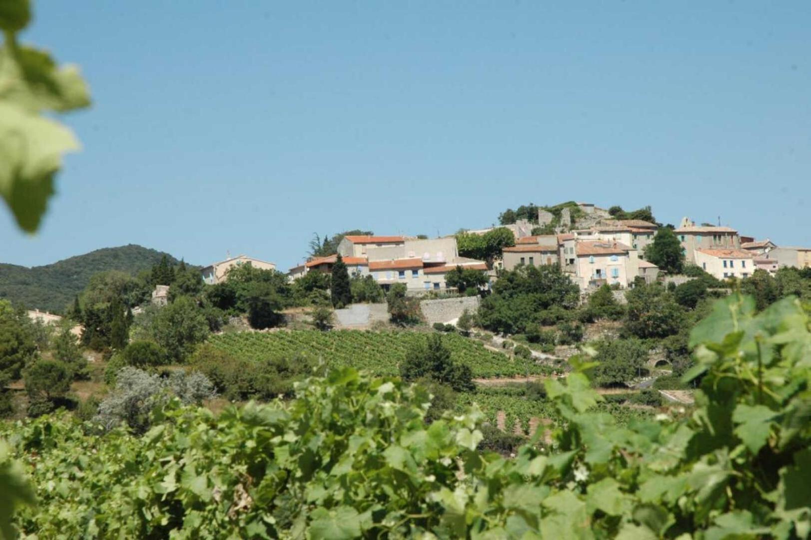 Cecile Villa Montgaillard  ภายนอก รูปภาพ