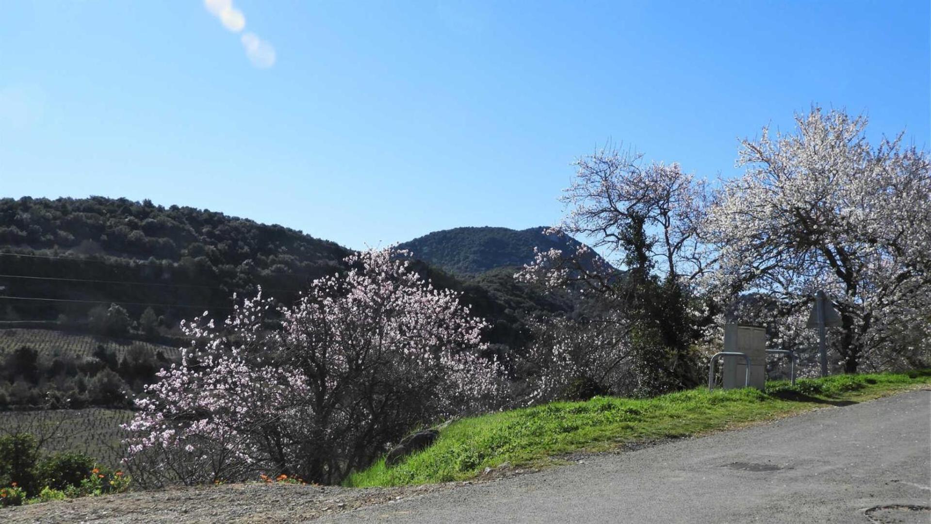 Cecile Villa Montgaillard  ภายนอก รูปภาพ